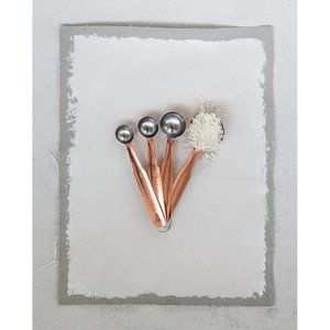 Stainless Steel Measuring Spoons w/ Copper Finish